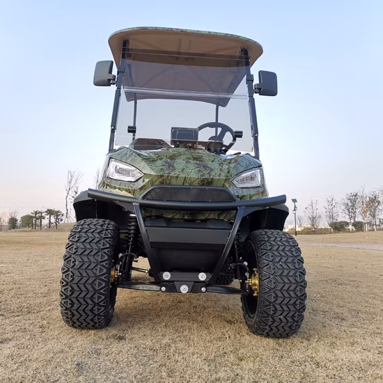 Hersteller, kostenloser OEM-Elektro-Sport-Golf-Buggy-Wagen in kundenspezifischer Farbe, Großhandel, Batterie, 4 Räder, 2 Passagiere, elektrischer Kleinwagen, Mini-Auto mit Einzel-Luxussitzer